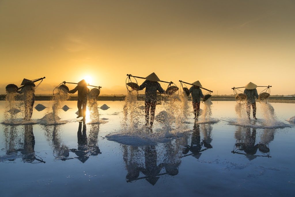 Salt harvesting in Vietnam