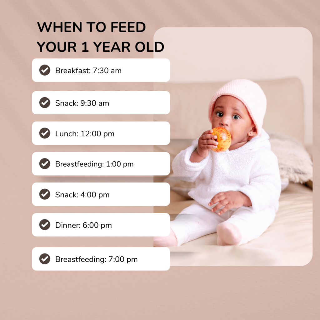 the feeding schedule for a one year old