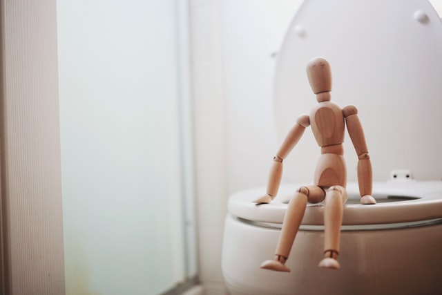 A wooden toy seated on a toilet